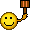 Aua *aua*